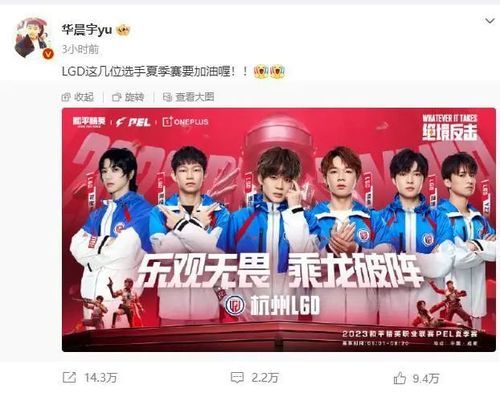 华晨宇认缴20万入股LGD分部 