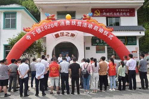 枣阳农村电商企业大发展:从土壤到云端的金蛋战略