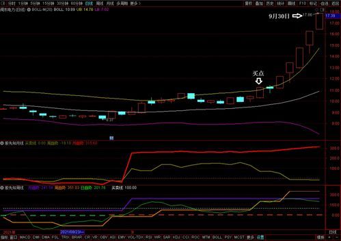 龙头股节后行情爆表指南！ 