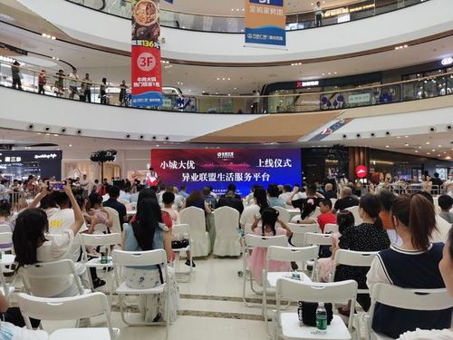 重庆本土电商平台有限公司—财务小哥的拼搏日记 