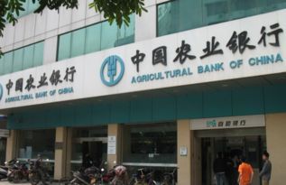 上海建设银行咨询电话:您的专属金融顾问在线等你!