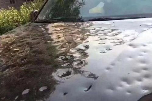 冰雹砸坏车顶，保险公司赔不赔？老司机教你三招搞定理赔 