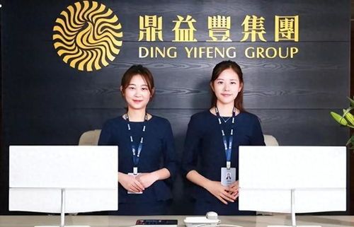 鼎益丰疑云：一场精心编排的金融泡沫大戏？ 