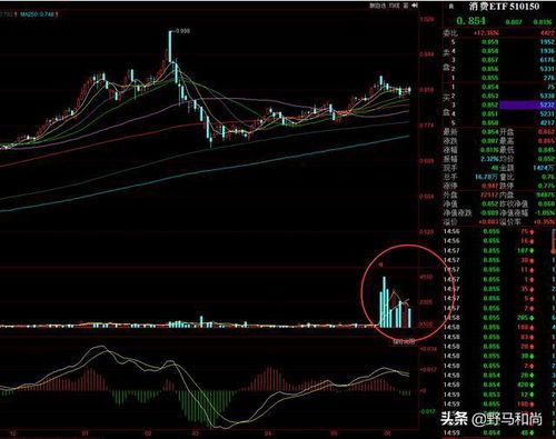 端午节A股大盘观测报告：股民的午休时刻 