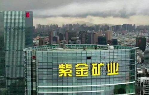 紫金矿业停牌原因与内幕大揭秘 