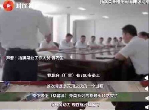 插旗菜业员工发声：成本攀升与盈利压力双重打击 