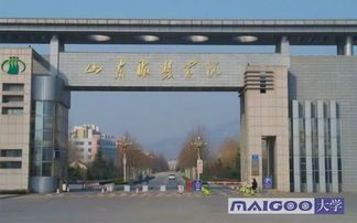 山东服装职业技术学院：原来你是经济学界的缝缝补补专家？ 