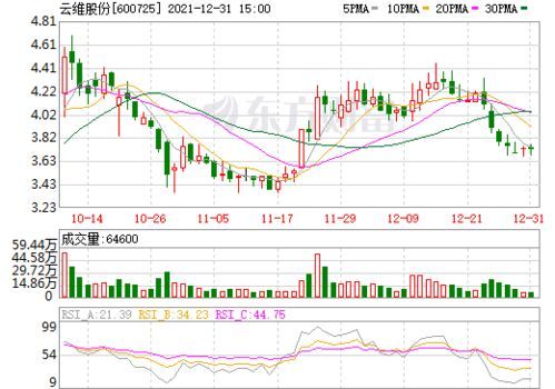 600725云维股份的财务风云：从行业龙头到热点持仓 
