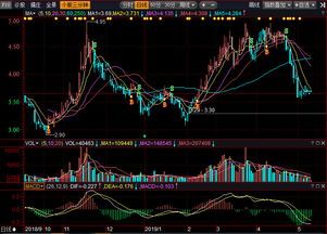 002619股票深入剖析 