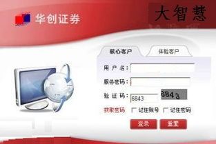 华创大智慧 
