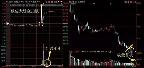 各板块龙头股票汇总图最新 