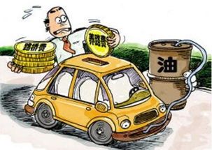 车视乐装一个多少钱?