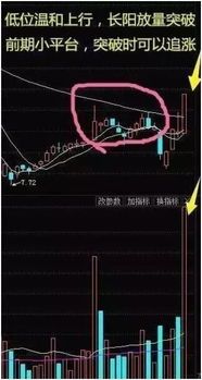 跌停到底涨停?盘中竟然也能这么畅快“洗盘”