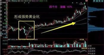 黄金坑股票最新行情：你不想错过的投资鞋垫 