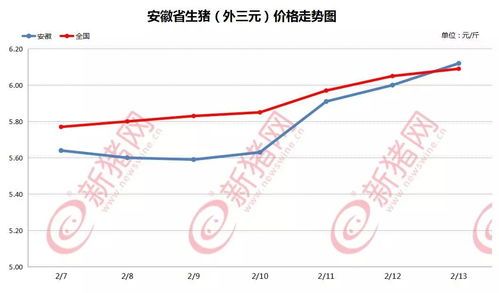 今日安徽最新猪价行情大曝光