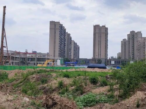 太康县最新房产价格速报:价格、趋势、热点全在这儿!