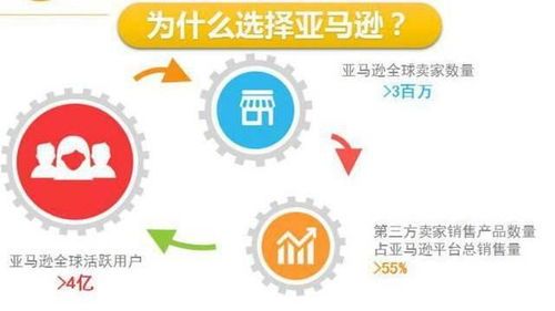 小白到精英：深圳跨境电商公司从零起步的闹哔与赚钱路 