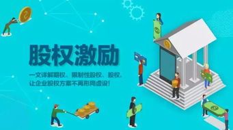 股权中的期权是什么意思呀 