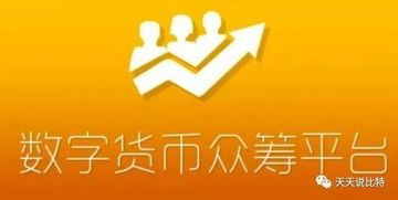 小白数字货币交易所,一路翻倍的快乐玩具