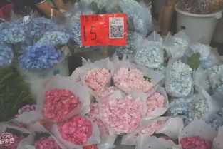 玫瑰鲜花批发市场最低价广州 