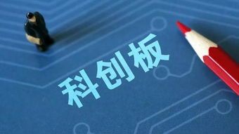 8月科创板新星揭晓 