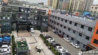 深圳龙华电商公司避雷实操指南 