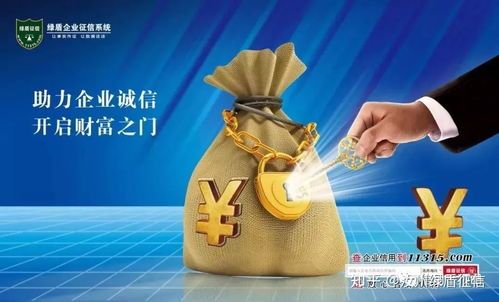 宁谷投资乐视的月投额度全观测