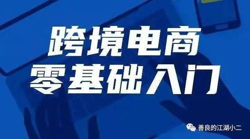 个人怎么做跨境电商INS？ 