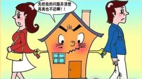 儿子离婚财产分配全攻略:别让资产变成“八卦”