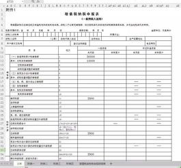 增值税申报表国税实操指南 